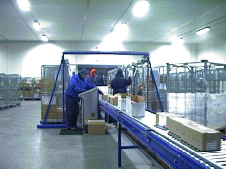 PTL - Kommissionierung / Gefriergut