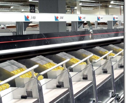 Anzeigen an automatischem Sorter / CD's Video's